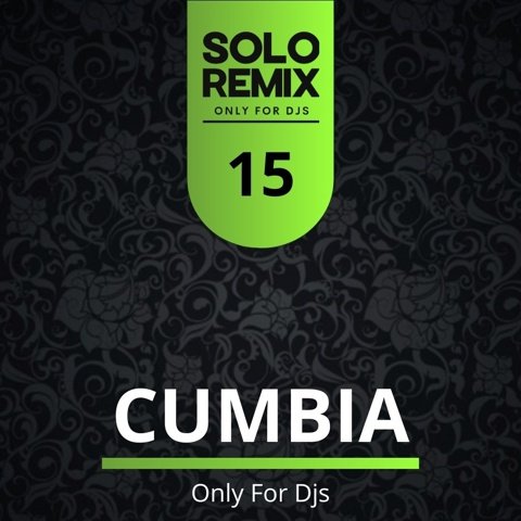 CUMBIA HITS VOL 15