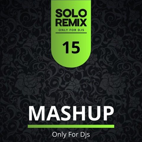 MASHUPS HITS VOL 15