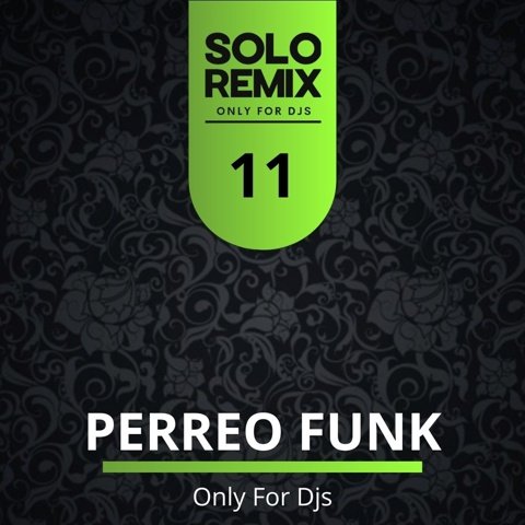 PERREO FUNK HITS VOL 11