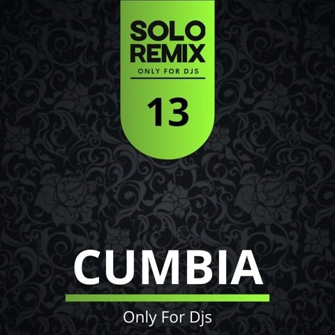 CUMBIA HITS VOL 13