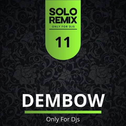 DEMBOW HITS VOL 11