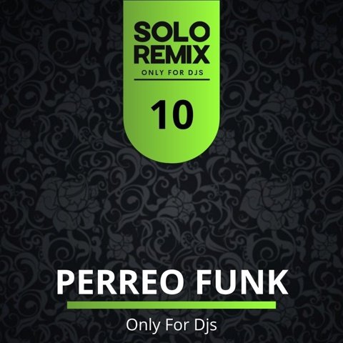 PERREO FUNK HITS VOL 10