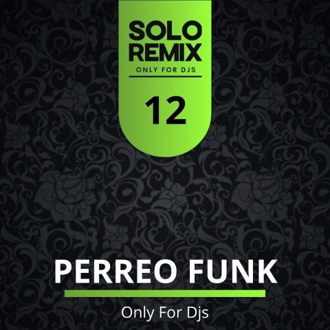 PERREO FUNK HITS VOL 12