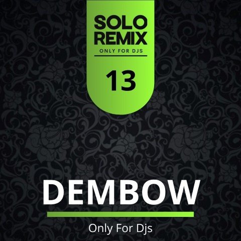 DEMBOW HITS VOL 13