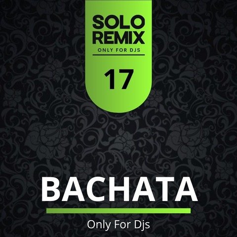 BACHATA HITS VOL 17