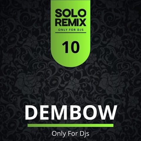 DEMBOW HITS VOL 10
