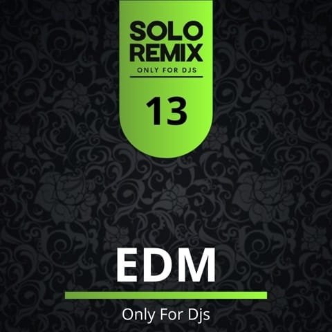 EDM HITS VOL 13