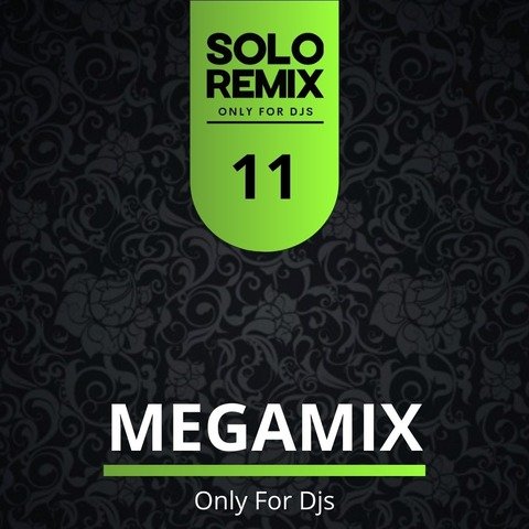 MEGAMIXES VOL 11