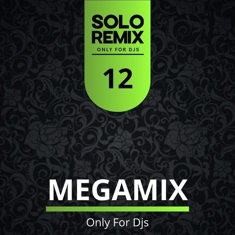 MEGAMIXES VOL 12