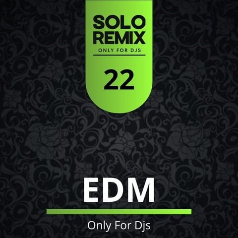 EDM HITS VOL 22