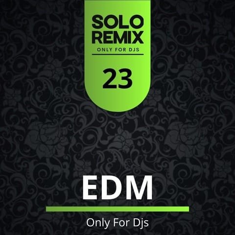 EDM HITS VOL 23