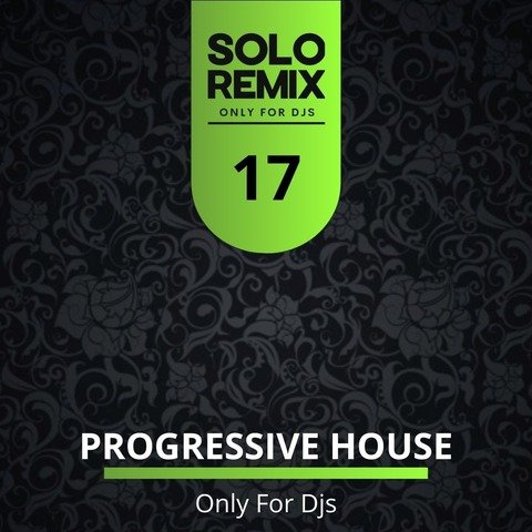 PROGRESSIVE HOUSE HITS VOL 17