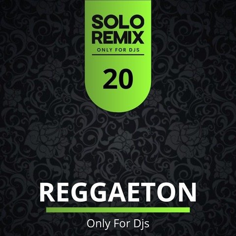 REGGAETON HITS VOL 20