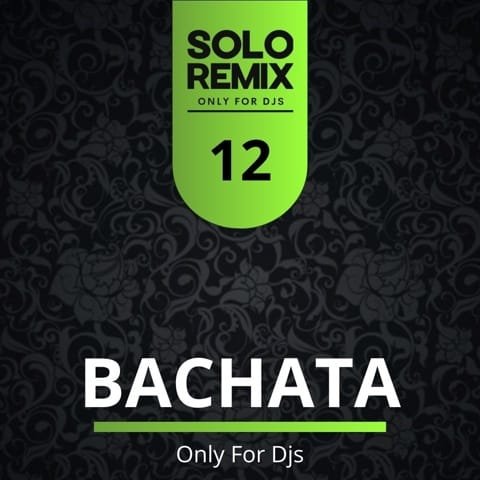 BACHATA HITS VOL 12