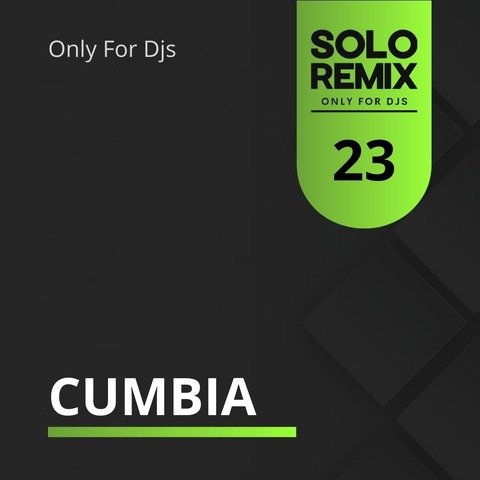 CUMBIA HITS VOL 23