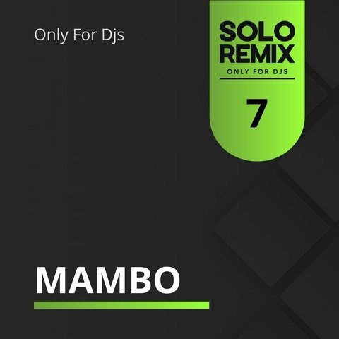 MAMBO HITS VOL 7