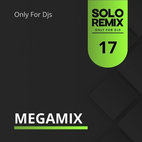 MEGAMIXES VOL 17