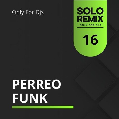 PERREO FUNK HITS VOL 16