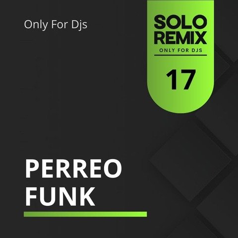 PERREO FUNK HITS VOL 17