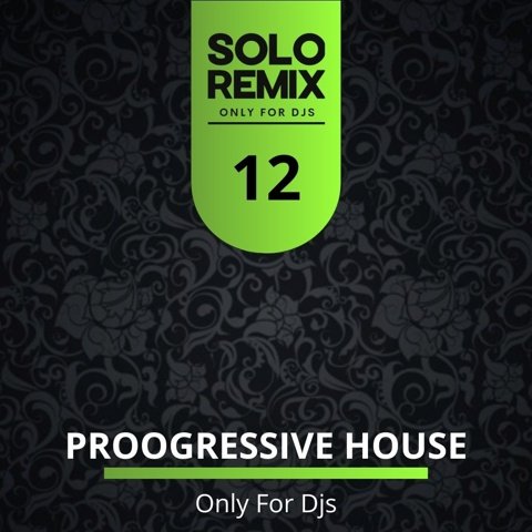 PROGRESSIVE HOUSE HITS VOL 12