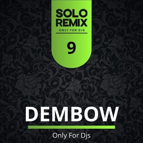 DEMBOW HITS VOL 9