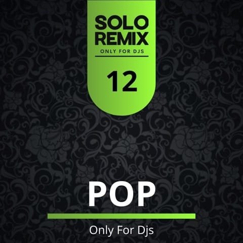 POP MUSIC HITS VOL 12