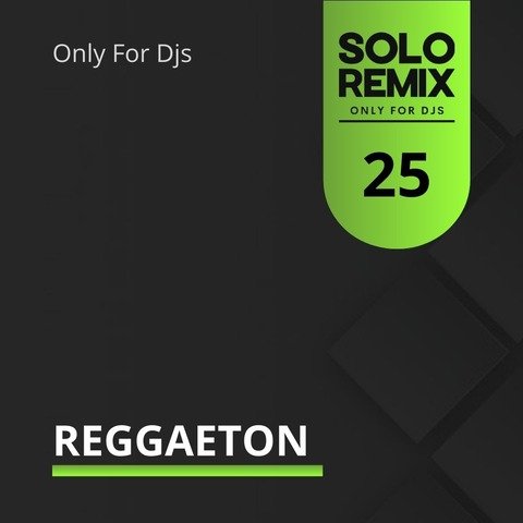 REGGAETON HITS VOL 25