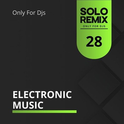 ELECTRONIC MUSIC HITS VOL 28