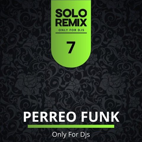 PERREO FUNK HITS VOL 7