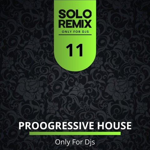 PROGRESSIVE HOUSE HITS VOL 11