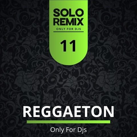 REGGAETON HITS VOL 11