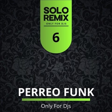 PERREO FUNK HITS VOL 6