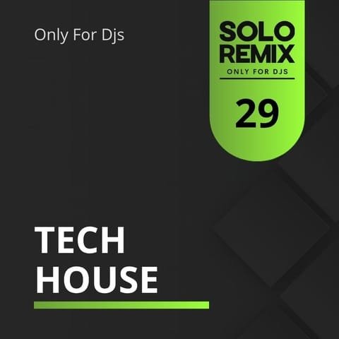 TECH HOUSE HITS VOL 29