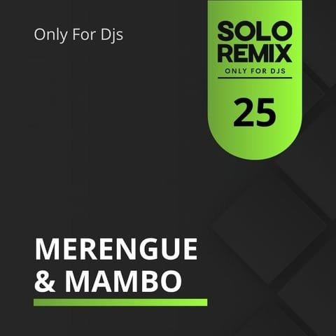 MERENGUE & MAMBO HITS VOL 25
